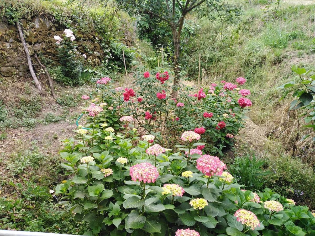 Bed and Breakfast Il Ghiro Levanto Exterior foto